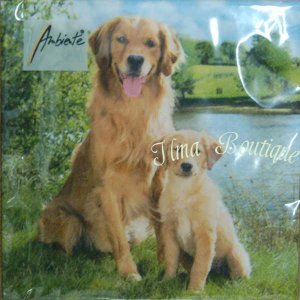 Golden Retriever 3-laags papieren servetten pakje per 20 st.